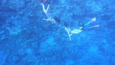 大家买东西都是怎么省钱的(在美团,淘宝这些软件上)?-知识星球平台